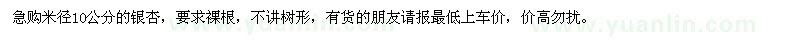 求購米徑10公分的銀杏