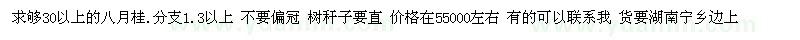 求購30以上的八月桂 