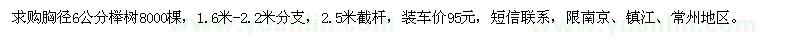 求購胸徑6公分櫸樹8000棵