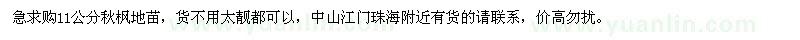 求購(gòu)急11公分秋楓地苗
