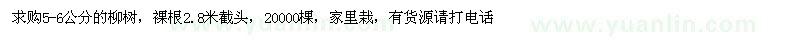 求購5-6公分的柳樹 
