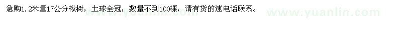 求購1.2米量17公分楸樹