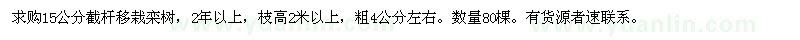 求購15公分截桿移栽欒樹