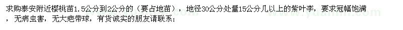 求購櫻桃苗 紫葉李