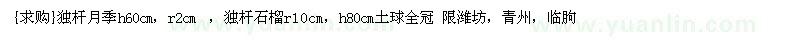 求購(gòu)獨(dú)桿月季、獨(dú)桿石榴