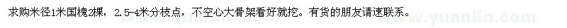 求購米徑1米國槐