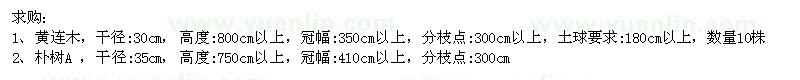 求購黃連木、樸樹