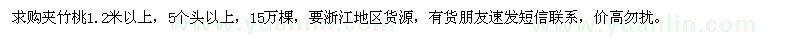 求購1.2米以上夾竹桃15萬棵