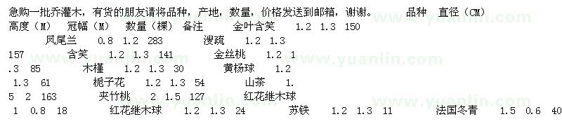 求購金葉含笑、鳳尾蘭、含笑等