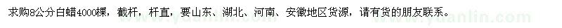 求購8公分白蠟4000棵