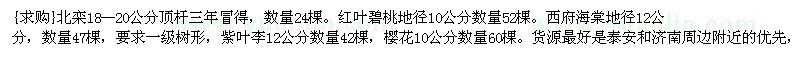 求購(gòu)北欒 紅葉碧桃 西府海棠 紫葉李 櫻花