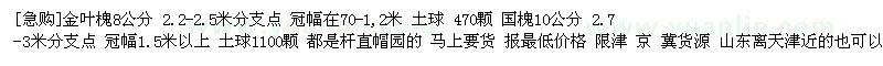 求購金葉槐 國槐