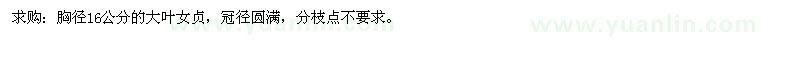 求購胸徑16公分的大葉女貞