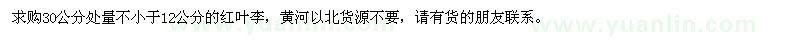 求購紅葉李