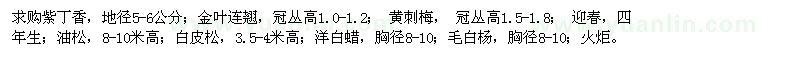 求購紫丁香,金葉連翹,黃刺梅,饅頭柳