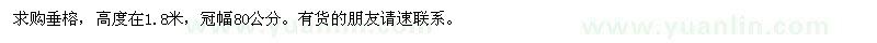 求購(gòu)冠幅80公分的垂榕