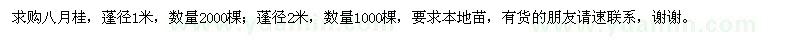 求購八月桂