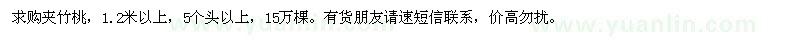 求購1.2米以上夾竹桃