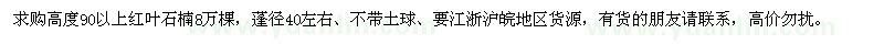 求購高度90以上紅葉石楠8萬棵