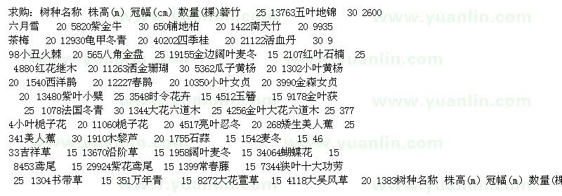 求購箬竹、五葉地錦、六月雪 、紫金牛等