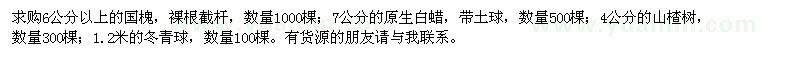 求購(gòu)國(guó)槐,原生白蠟,山楂,冬青球