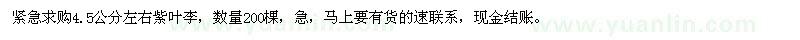 求購緊急4.5公分左右紫葉李