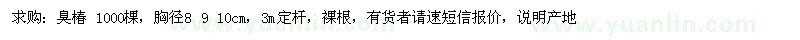 求購臭椿 1000棵