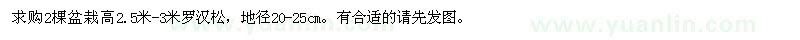 求購地徑20-25cm羅漢松