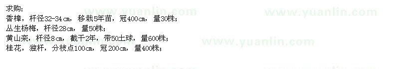 求購(gòu)香樟,楊梅,欒樹(shù),桂花,廣玉蘭