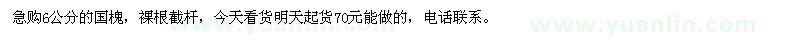 求購6公分的國槐