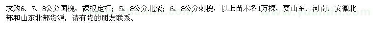求購國槐、北欒、刺槐