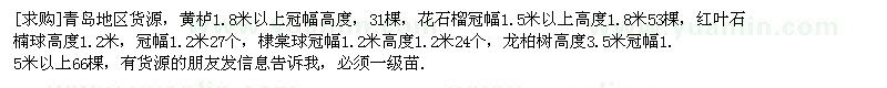 求購(gòu)青島地區(qū)貨源，黃櫨，花石榴，紅葉石楠球