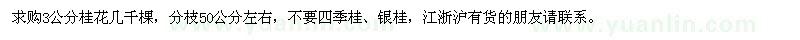 求購3公分桂花