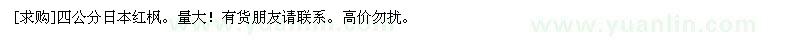 求購(gòu)四公分日本紅楓。量大