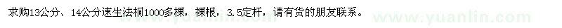 求購13公分、14公分速生法桐