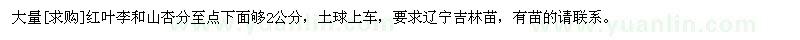 求購(gòu)大量紅葉李和山杏分至點(diǎn)下面夠2公分