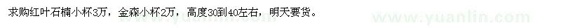 求購(gòu)紅葉石楠小杯3萬(wàn)，金森小杯2萬(wàn)，高度30到40左右 
