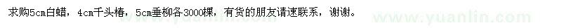 求購白蠟、千頭椿、垂柳