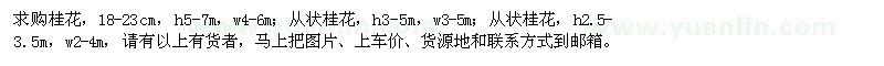 求購桂花,從狀桂花
