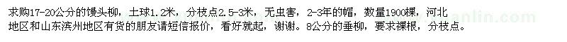 求購17-20公分的饅頭柳,8公分的垂柳