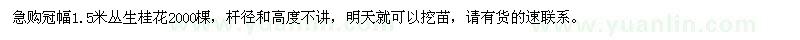 求購P1.5米叢生桂花2000棵，急