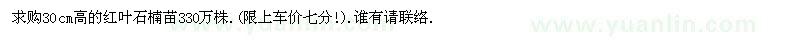 求購30cm高的紅葉石楠苗 