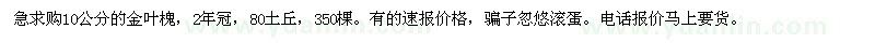 求購10公分的金葉槐 