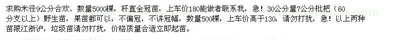 求購米徑9公分合歡，30公分量7公分枇杷（60分支以上）