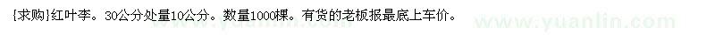 求購(gòu)紅葉李。30公分處量10公分