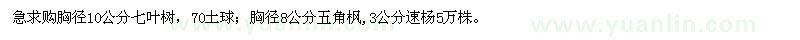 求購胸徑10公分七葉樹，胸徑8公分五角楓,3公分速楊5萬株