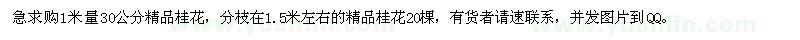 求購1米量30公分桂花