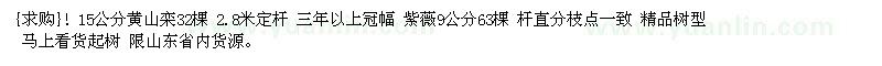 求購黃山欒 紫薇