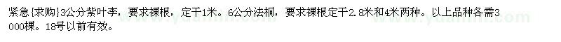 求購紫葉李 法桐