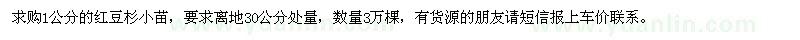 求購紅豆杉小苗